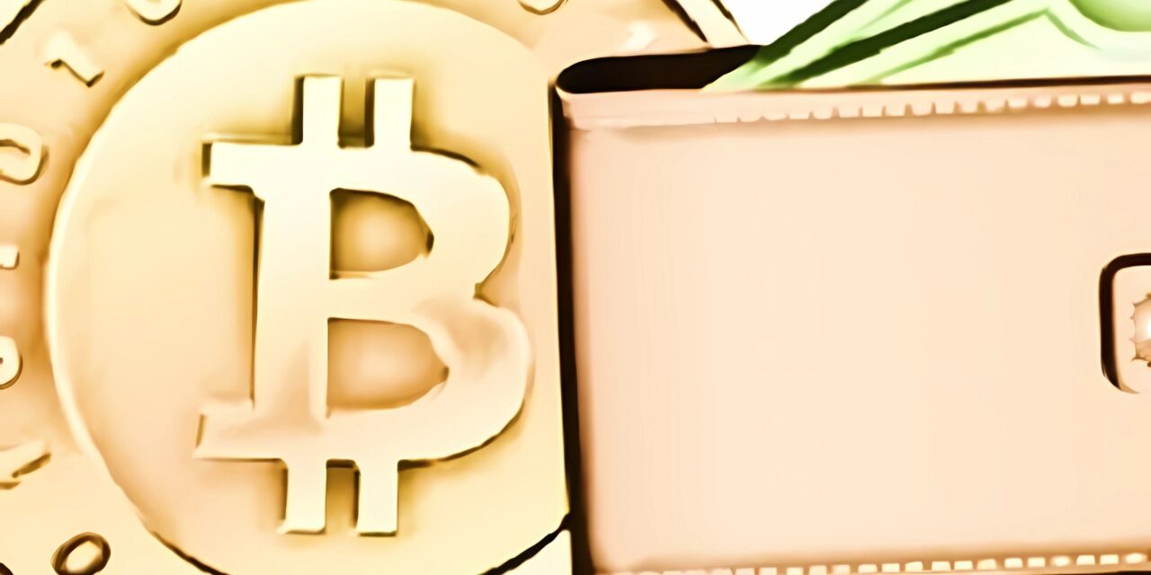 ¿Cuál es el mejor monedero de Bitcoin?